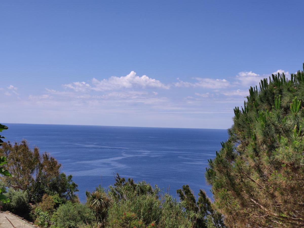 Casa De Somma Daire Forio di Ischia Dış mekan fotoğraf